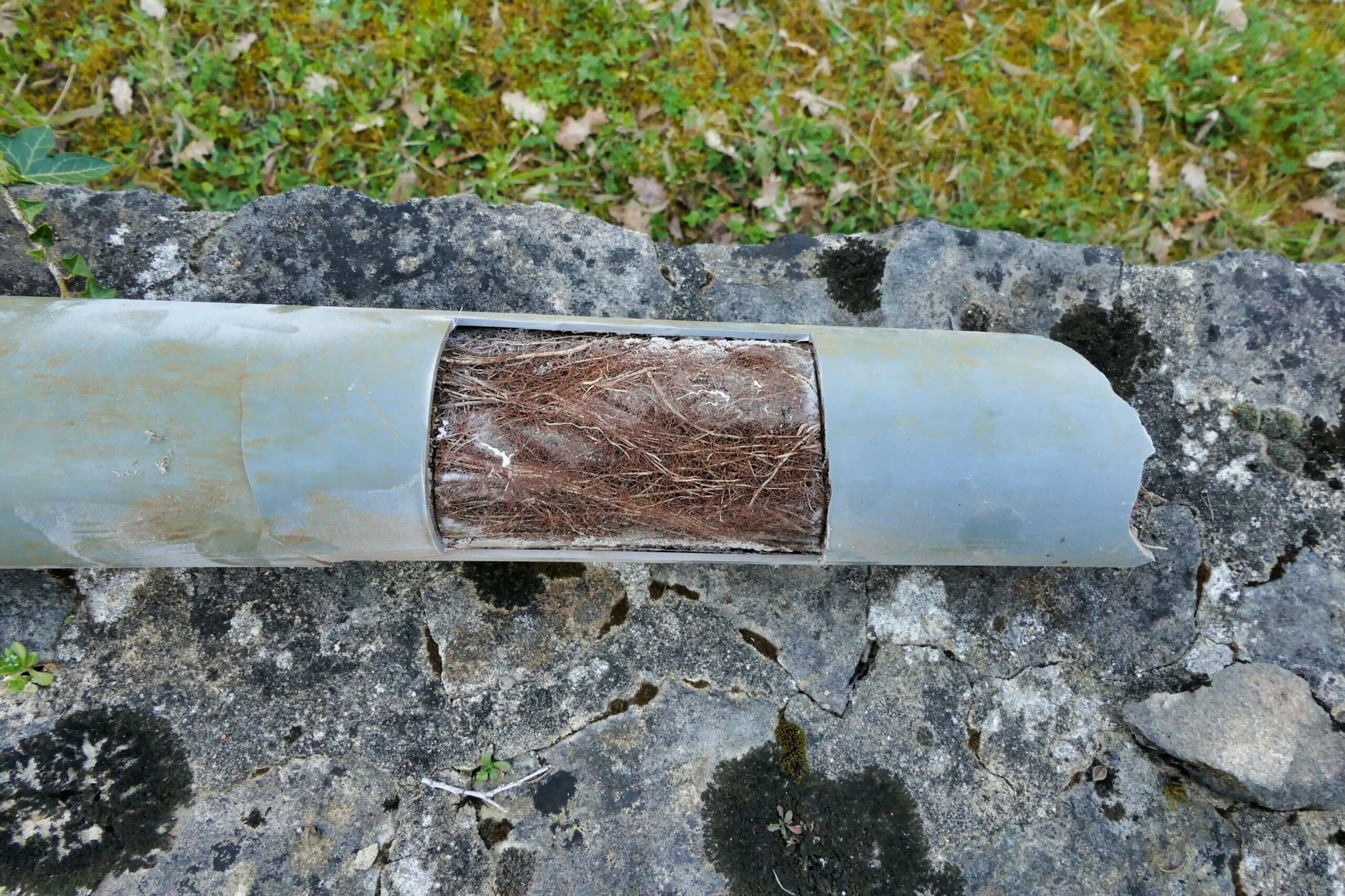 blocked drains