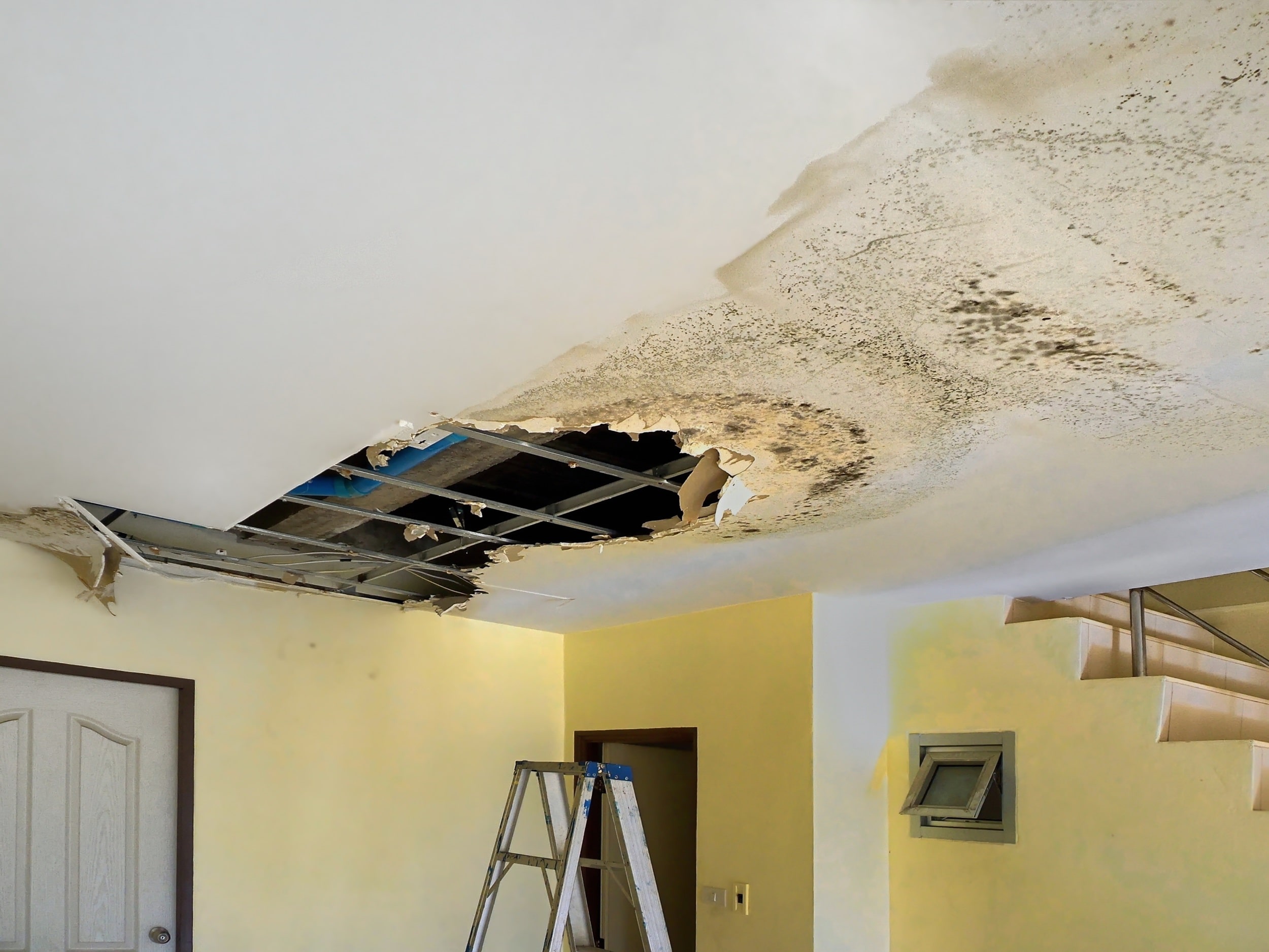 commercial leak detection