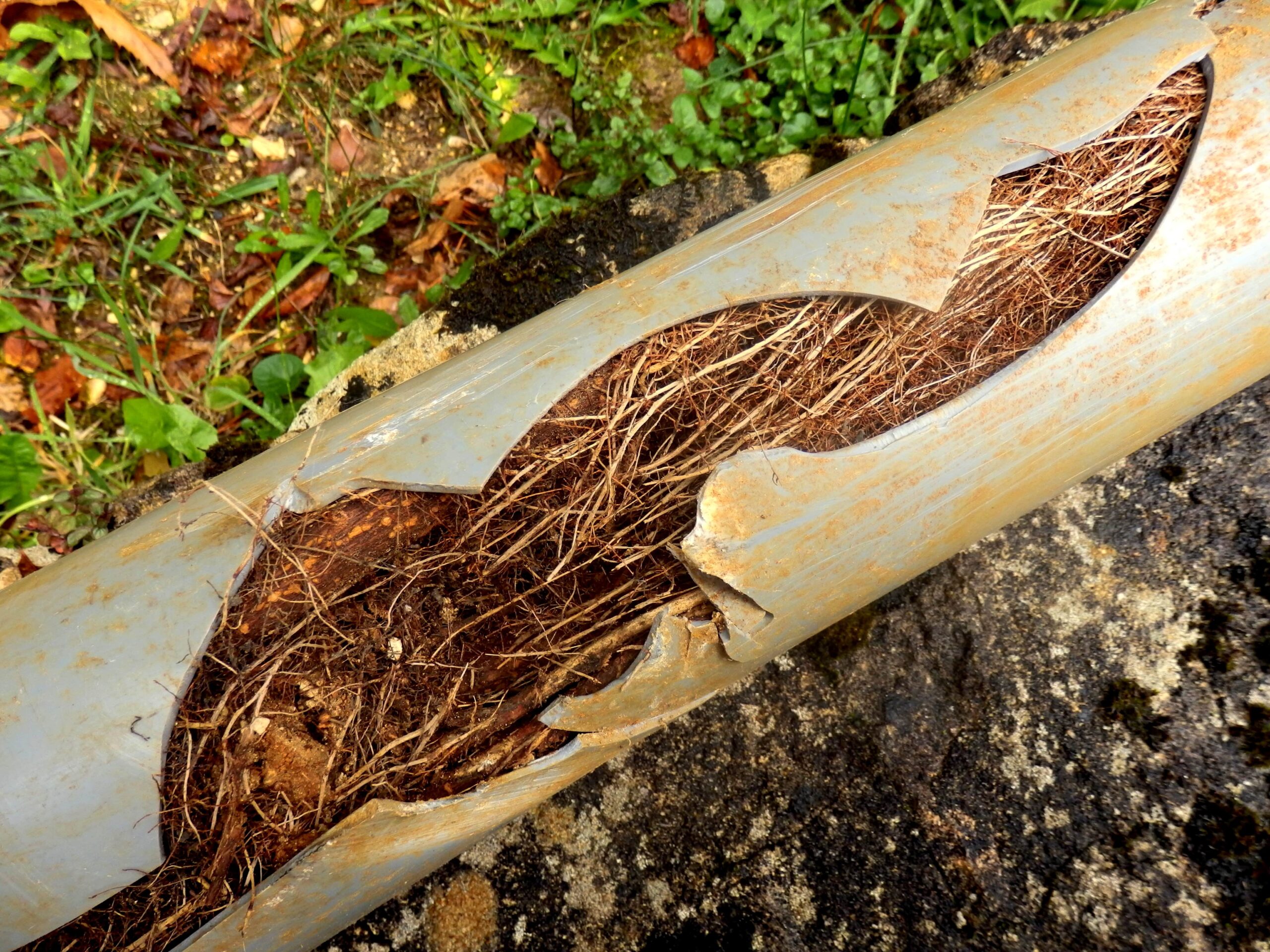 Clear Roots From Blocked Soakwells
