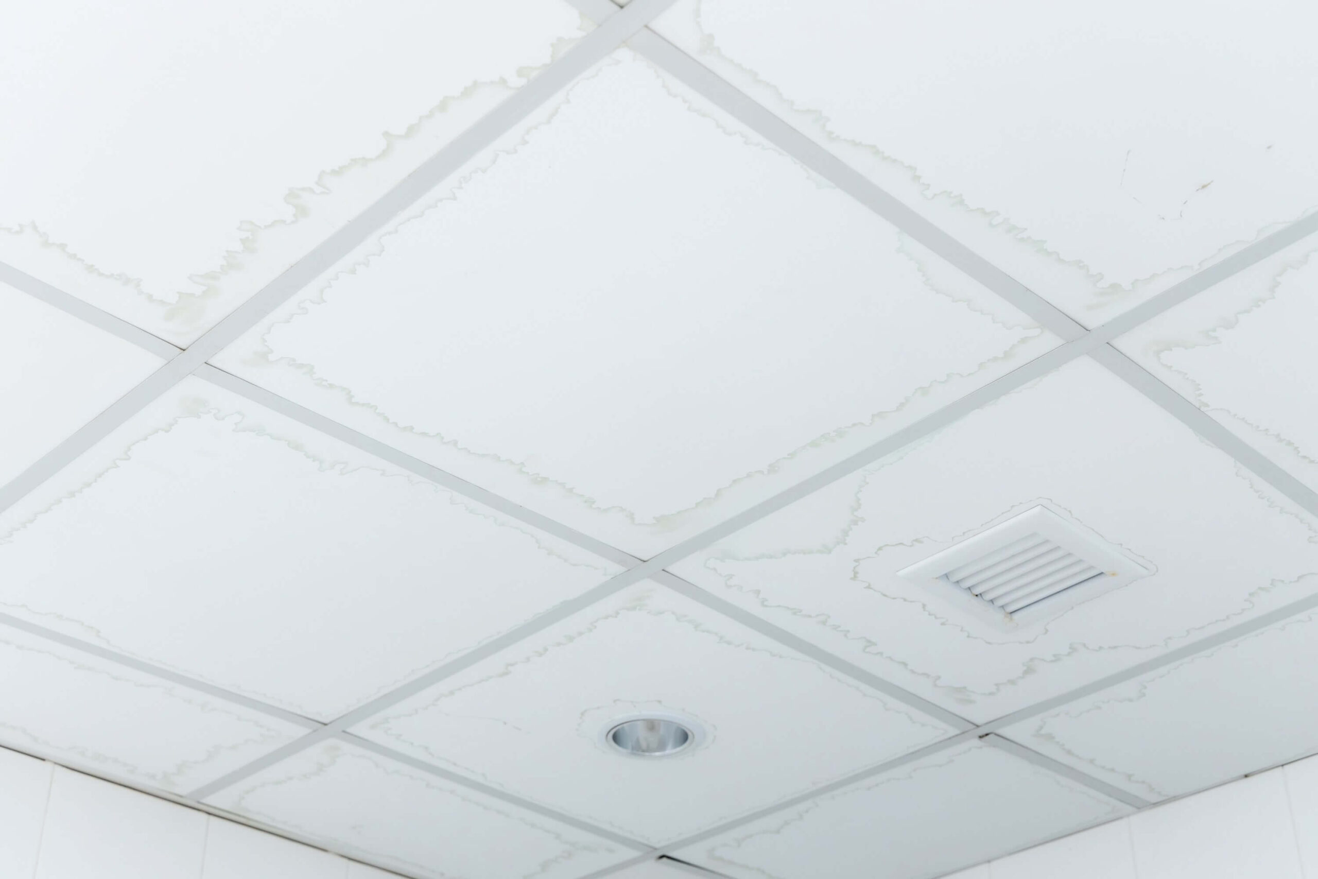 roof leaks commercial plumbing